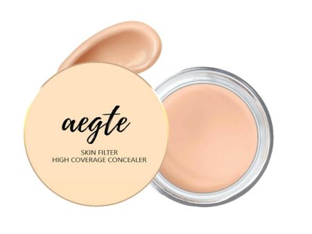 Aegte Skin Filter High Coverage Concealer - Medium Natural Online