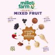 Bagrry s Millet Farm Mixed Fruit Muesli with Jowar and Ragi Discount