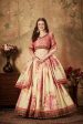 Aastha Fashion Women s Delightful Beige-Peach Floral Print Organza Wedding Wear Lehenga Choli Discount