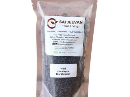 Satjeevan Wild Himalayan Blackberries Online now