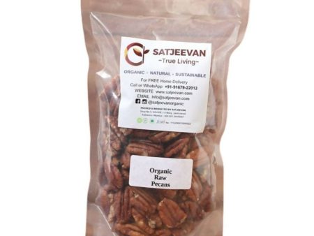 Satjeevan Organic Raw Pecans Supply