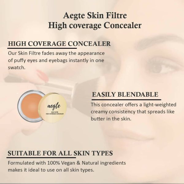 Aegte Skin Filter High Coverage Concealer - Medium Natural Online