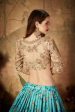 Aastha Fashion Women s Beautiful Sky Blue Sabyasachi Floral Digital Printed Organza Party Wear Lehenga Choli For Discount