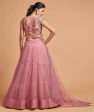 Aastha Fashion Women s Unique Blush Pink Thread Embroidered Net Party Wear Lehenga Choli Supply