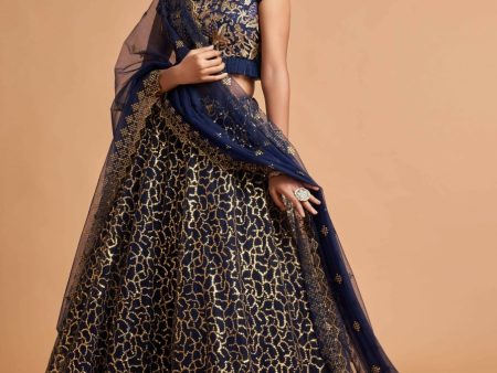 Aastha Fashion Women s Wonderful Navy Blue Thread Embroidered Net Party Wear Lehenga Choli Discount