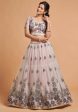 Aastha Fashion Women s Super Grey Zari Embroidery Net Party Wear Lehenga Choli Supply