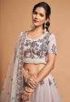 Aastha Fashion Women s Super Grey Zari Embroidery Net Party Wear Lehenga Choli Supply