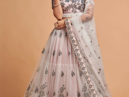 Aastha Fashion Women s Super Grey Zari Embroidery Net Party Wear Lehenga Choli Supply