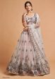 Aastha Fashion Women s Super Grey Zari Embroidery Net Party Wear Lehenga Choli Supply