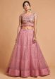 Aastha Fashion Women s Unique Blush Pink Thread Embroidered Net Party Wear Lehenga Choli Supply